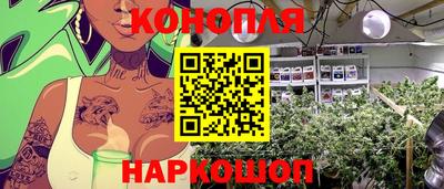 скорость Новокубанск