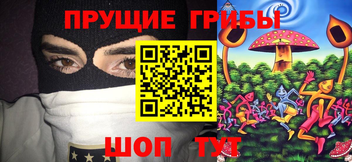 Учалы  Галлюциногенные грибы мицелий  Вход с VPN 