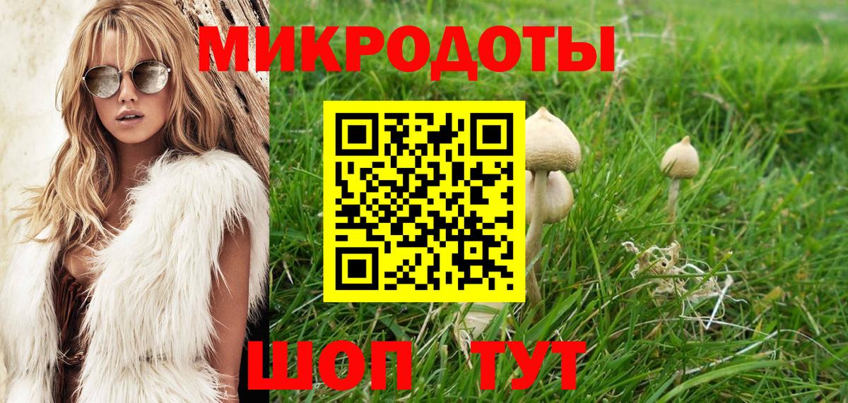Псилоцибиновые грибы прущие грибы Учалы